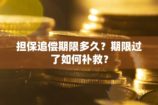 济南担保追偿期限多久？期限过了如何补救？