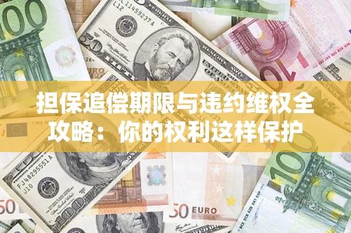 济南担保追偿期限与违约维权全攻略：你的权利这样保护